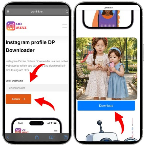 Enter the username and download the profile picture