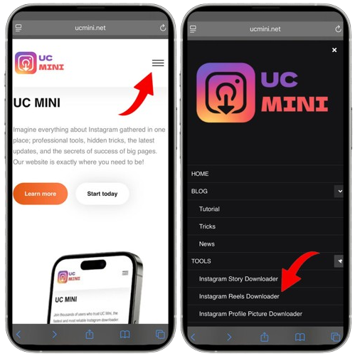 Open the Instagram Reels Downloader on Ucmini