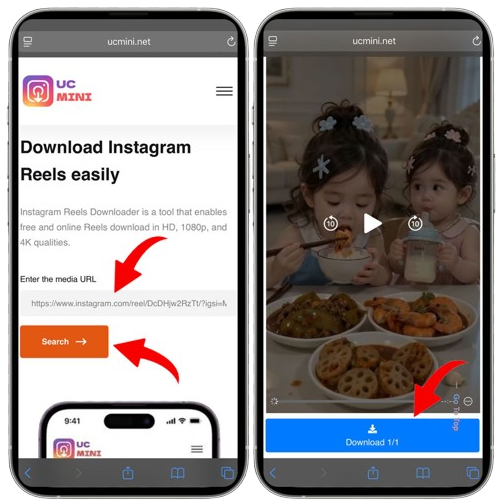 Paste the Instagram Reel link and download